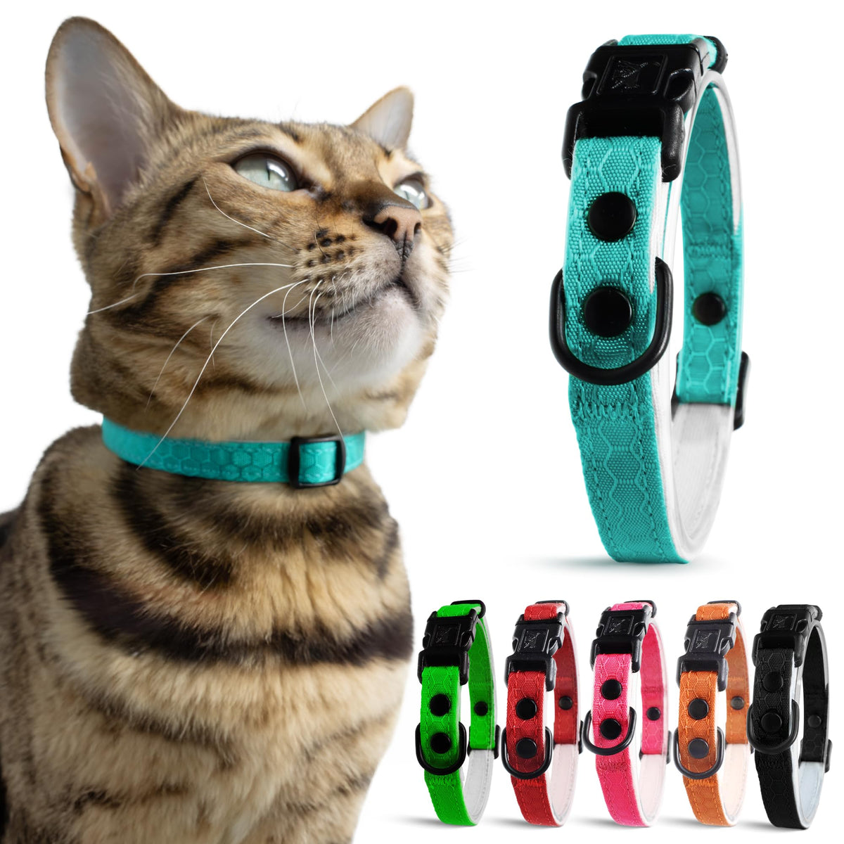 OutdoorBengal Durable Breakaway Cat Collar, No Bell (Black, M/L)