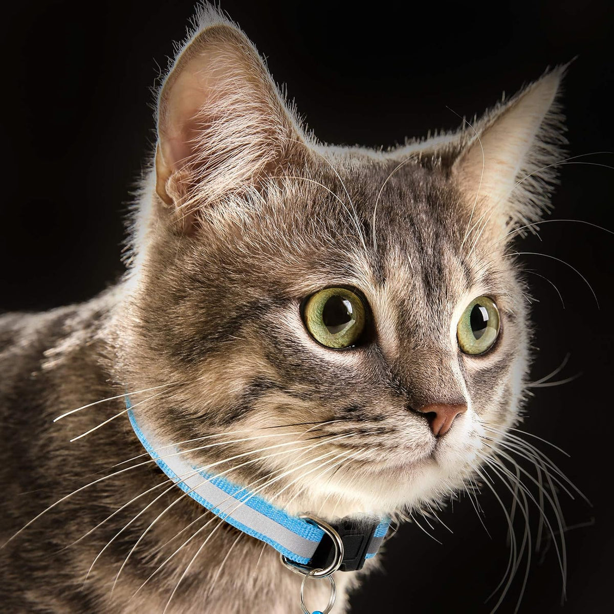 18 Piece Reflective Cat Collars with Bell Safety Buckles and 6 Pcs ID Tags
