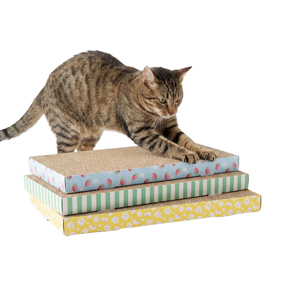 Kitty City XL Wide Corrugate Cat Scratchers 3 Pieces, Cat Scratching, Cat Scratch Pad, Door Clips, Furniture Protectors from Cat Scratching