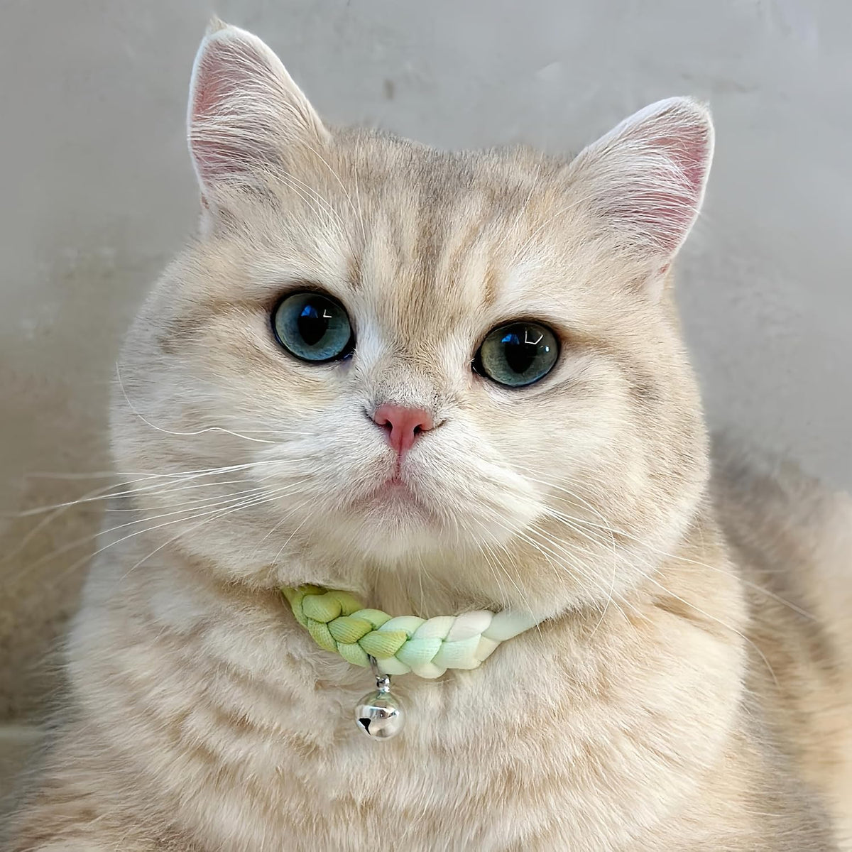 Cat Collar with Bell, Cute Adjustable Cotton Kitten Collar, Soft Lightweight Slip On Collar for Indoor Cats, Handmade in California (Green Ombre)