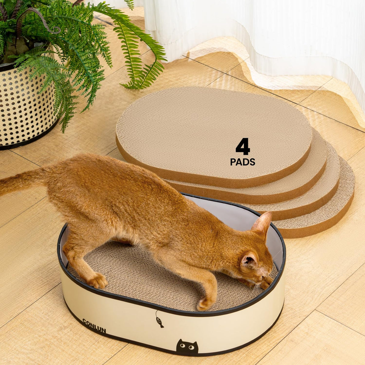 Conlun Oval Cat Scratcher Bed | Scratching Bowl Lounge for Kittens | Medium
