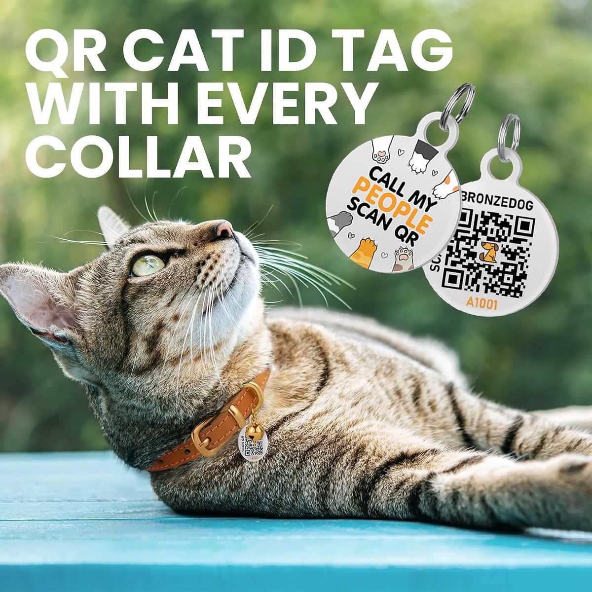 Leather Cat Collar, Removable Bells, QR Tag (9-12", Black & Gold)