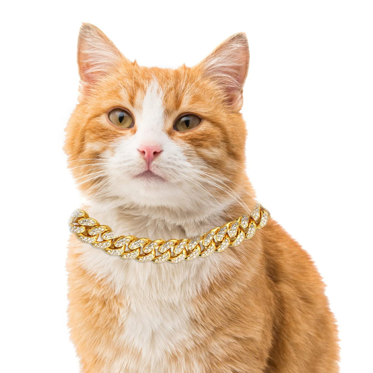 Halukakah Cat Collar - Carat - 18k Real Gold Plated 12", with Bell