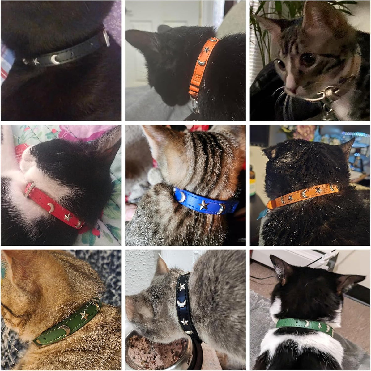 Leather Cat Collar, Breakaway Kitten Collars with Bell, Golden