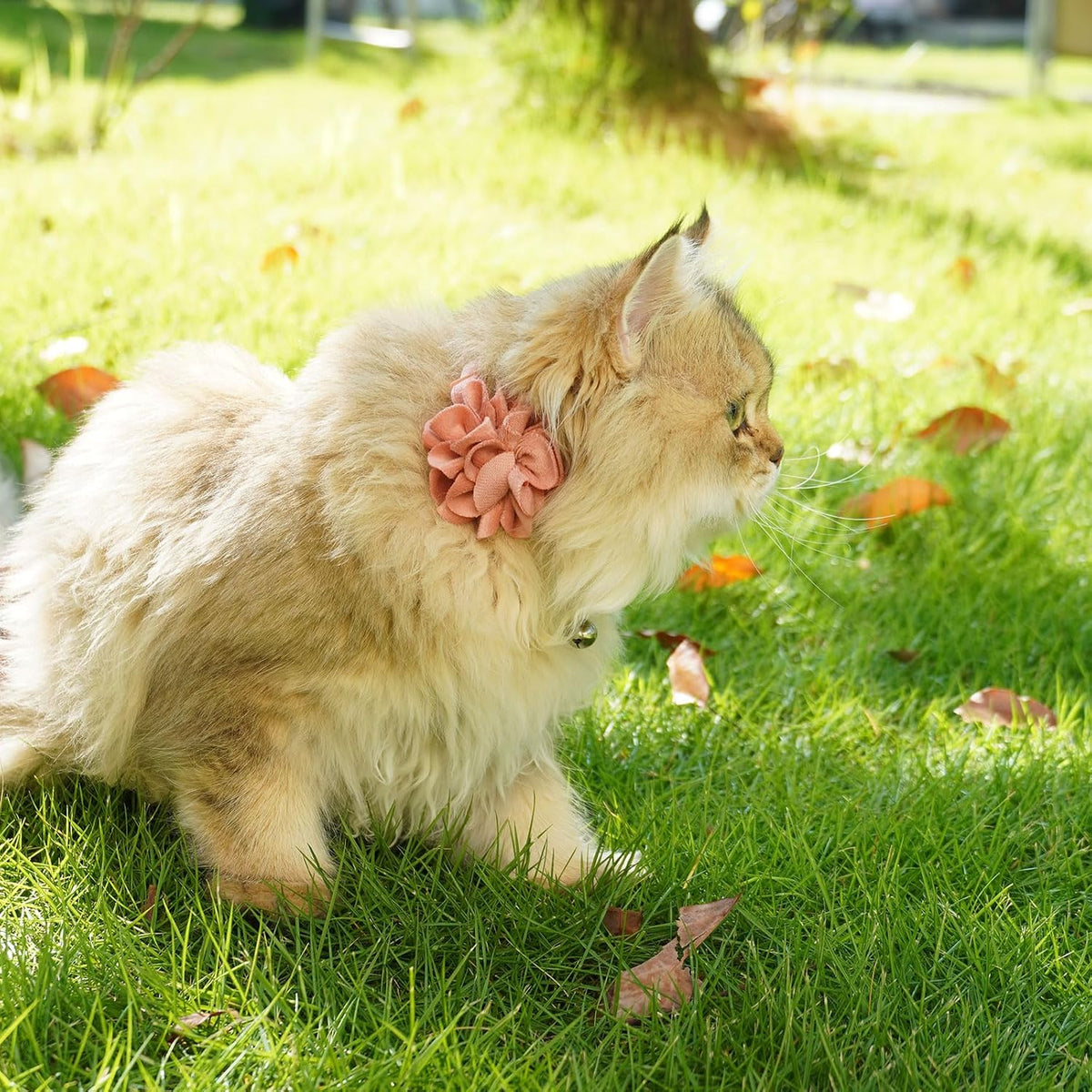 azuza 2 Pack Breakaway Cat Collars with Bell, Velvet Floral Red Cat Collar