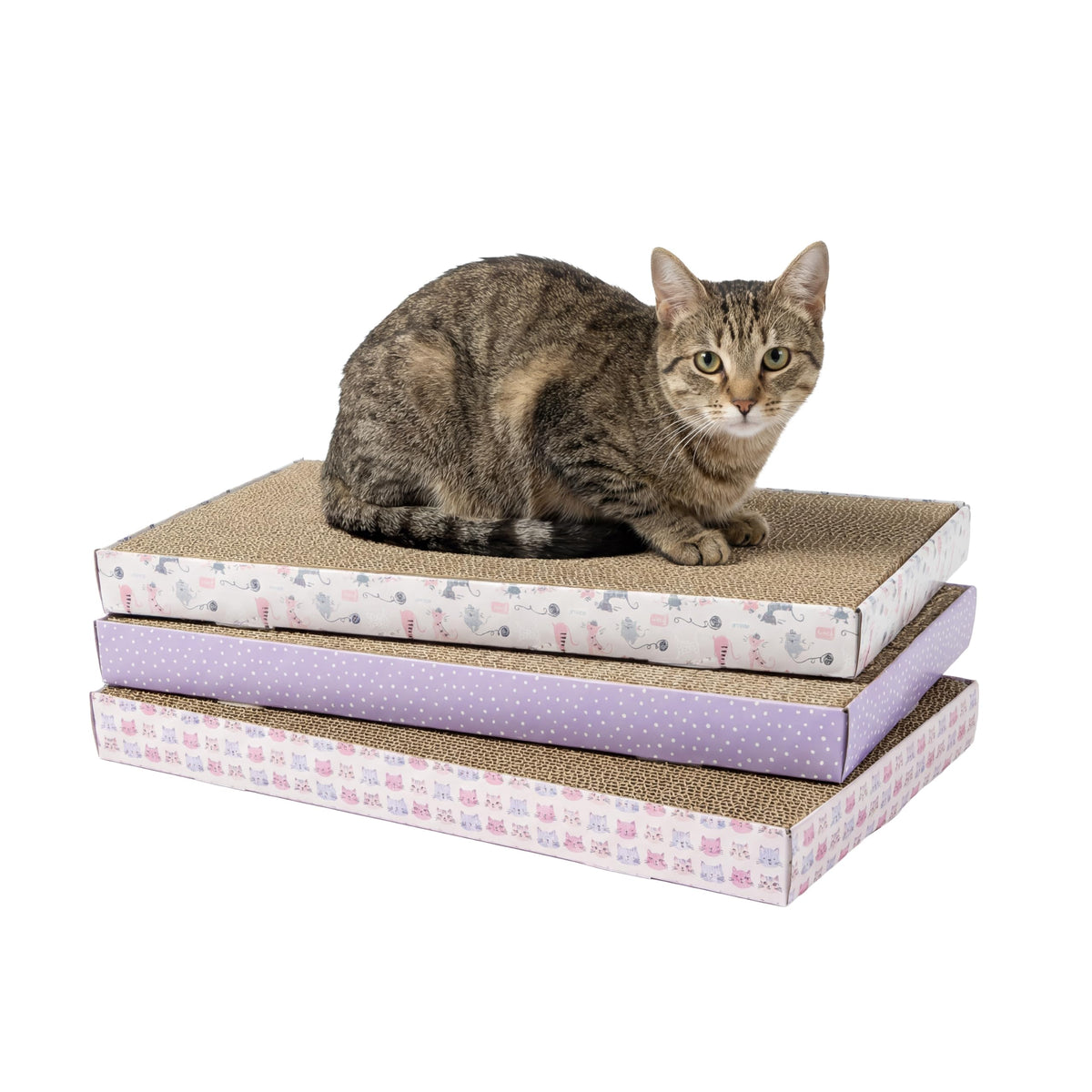 Kitty City XL Wide Corrugate Cat Scratchers 3 Pieces, Cat Scratching, Cat Scratch Pad, Door Clips, Furniture Protectors from Cat Scratching