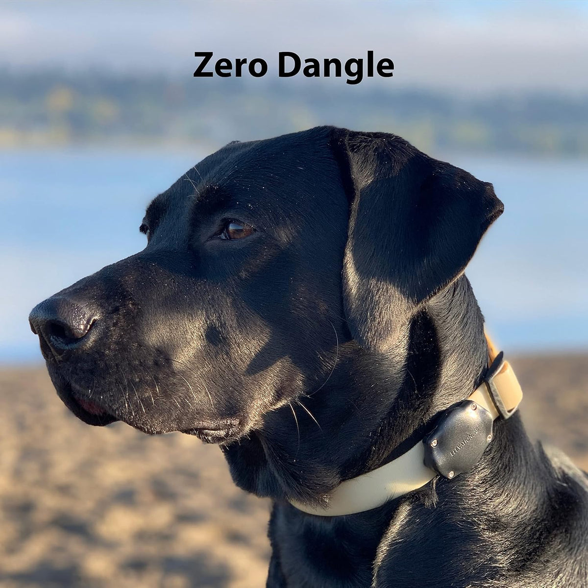 Elevation Lab AirTag Dog Collar Holder - Waterproof