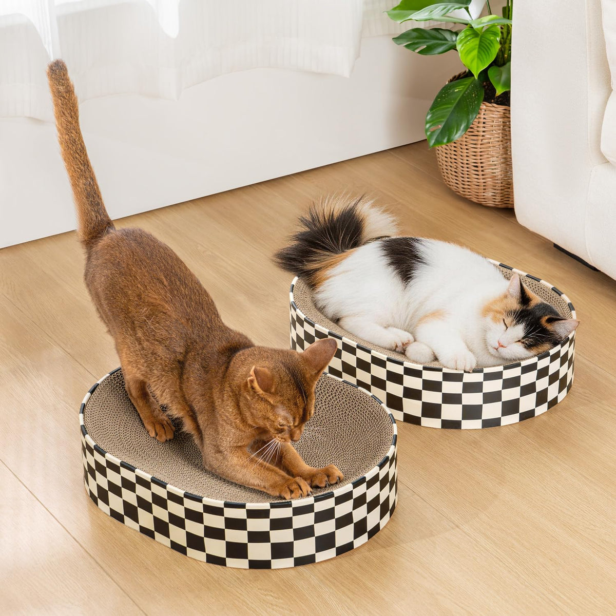Conlun Oval Cat Scratcher Bed | Scratching Bowl Lounge for Kittens | Medium