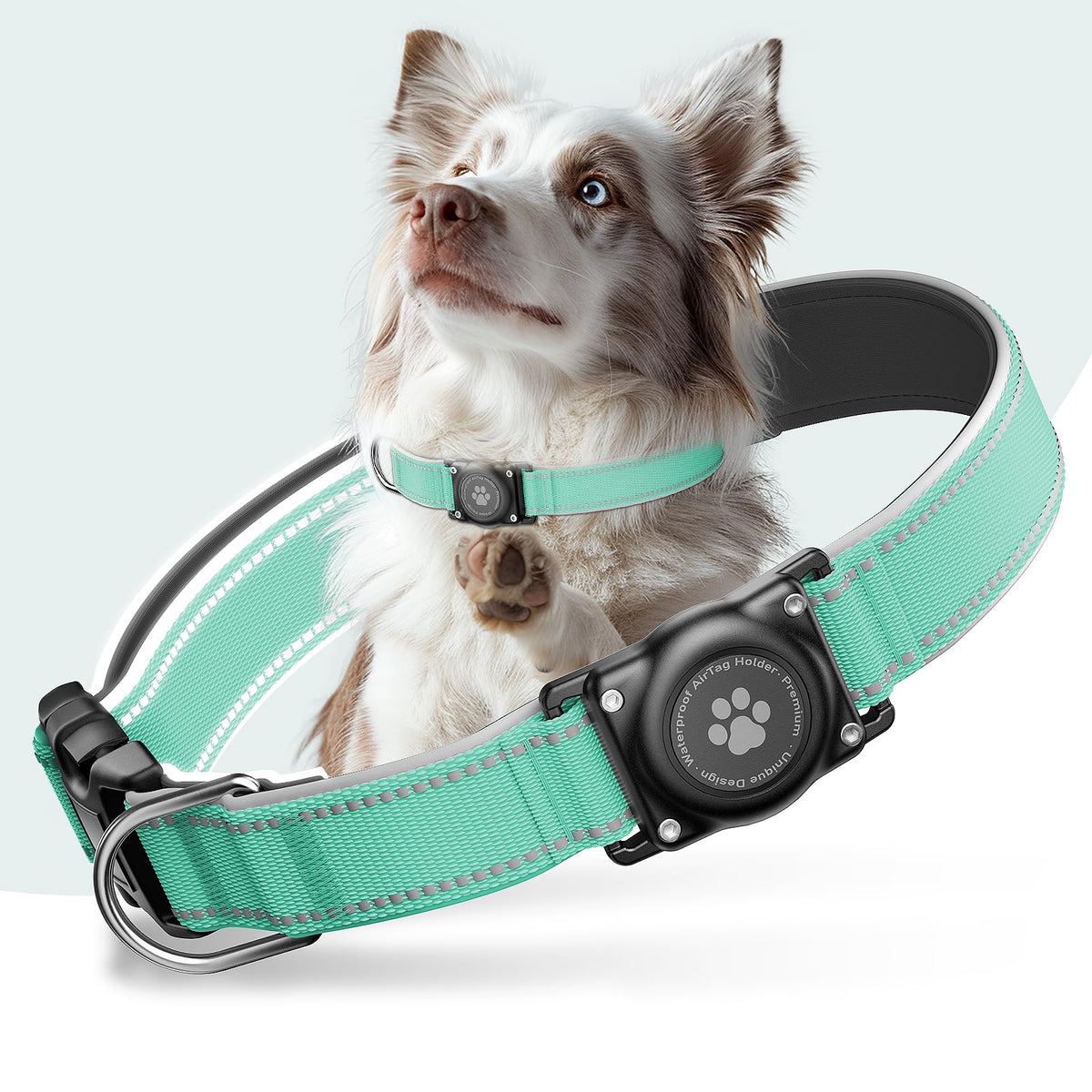 Upgrade Dog Collar with AirTag Holder, IP68 Waterproof, Black, S
