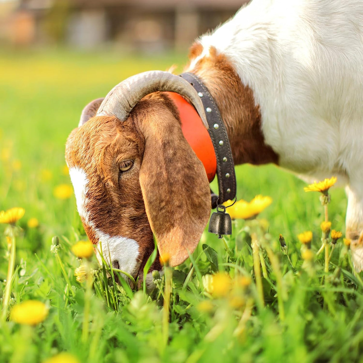 20PCS Copper Bells Cow Bells Small and Large Brass Bells for Farm Animals Pets and Christmas Decorations Loud Anti-Theft Long Distance Sound