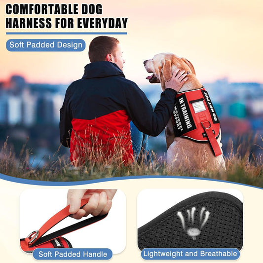 Service Dog Vest Harness+ID Tag+10 Patches,Metal Serivce Dog Tag&Reflective Emotional Support Dog Vest with Handle for Small Dogs,Easy Put On/Off for Training/Walking/Everyday Red S