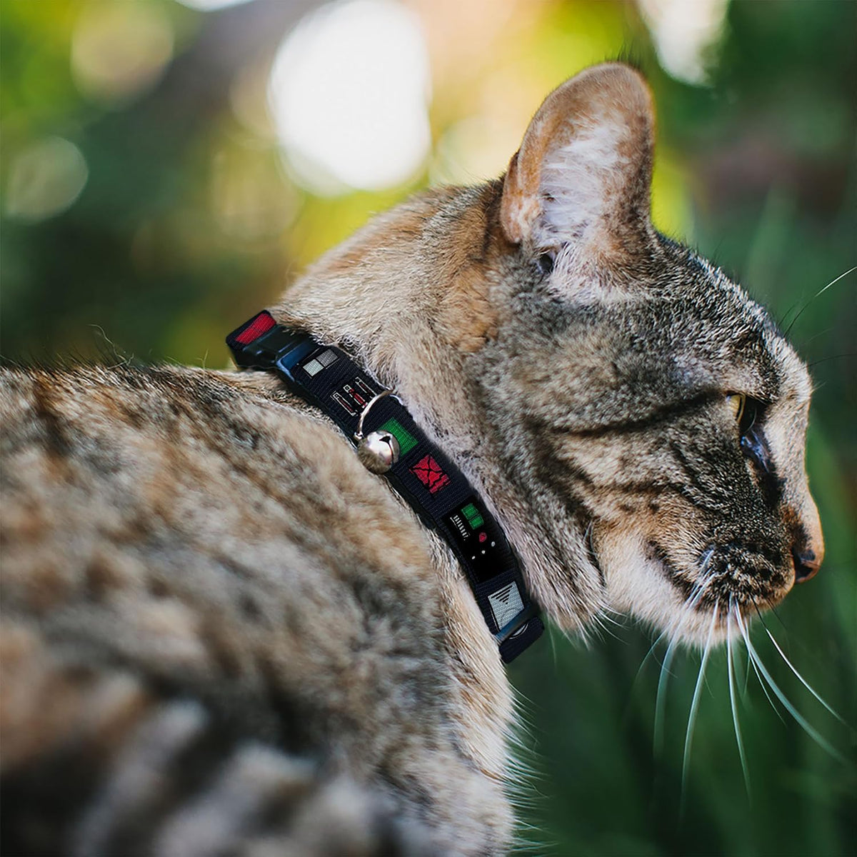 Star Wars Breakaway Cat Collar