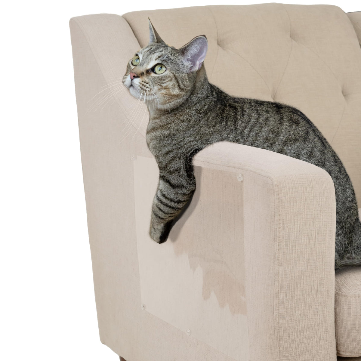 Kitty City XL Wide Corrugate Cat Scratchers 3 Pieces, Cat Scratching, Cat Scratch Pad, Door Clips, Furniture Protectors from Cat Scratching