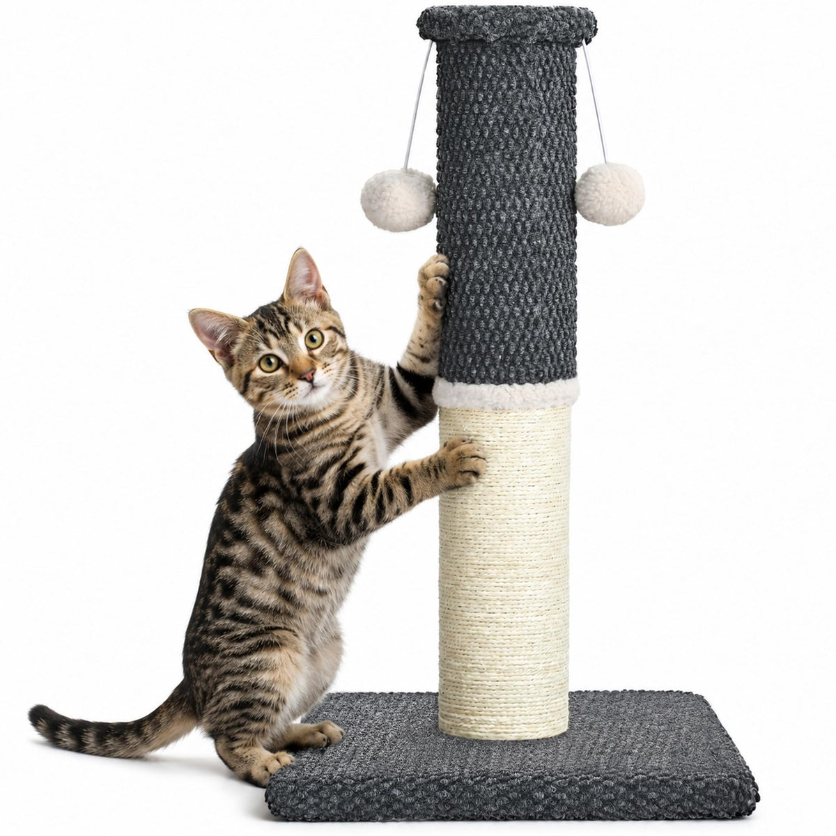 Made4Pets Tall Cat Scratching Post with Sisal & Carpet for Indoor Cats, 33"