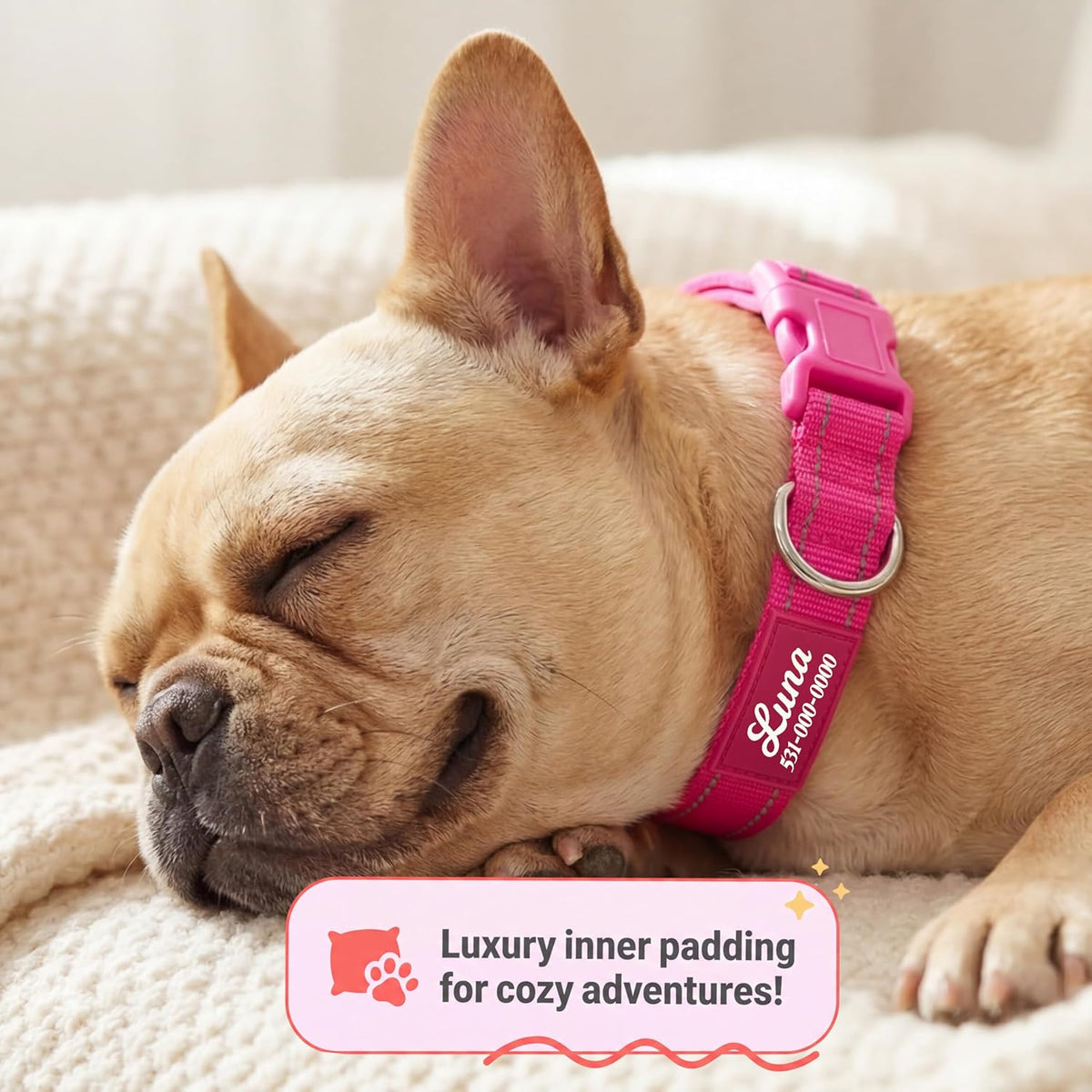 Personalized Dog Collars - Reflective Nylon Collar Customized with Name and Phone Number Adjustable Sizes for Small Dogs, Medium, Large 4 Colors Male Female boy Girl Puppies