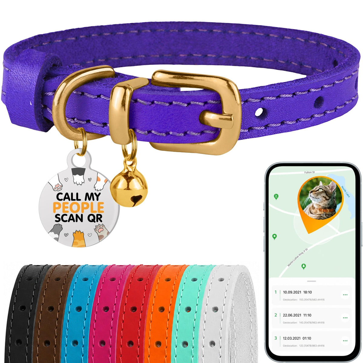 Leather Cat Collar, Removable Bells, QR Tag (9-12", Black & Gold)