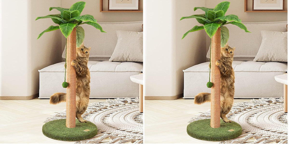 Meowoou Cat Scratching Post 33 Inch Tall Cat Scratcher for Indoor Cats Adults,Small Cat Tree Tower Sisal Rope Kitten Scratch with Interactive Hanging Ball