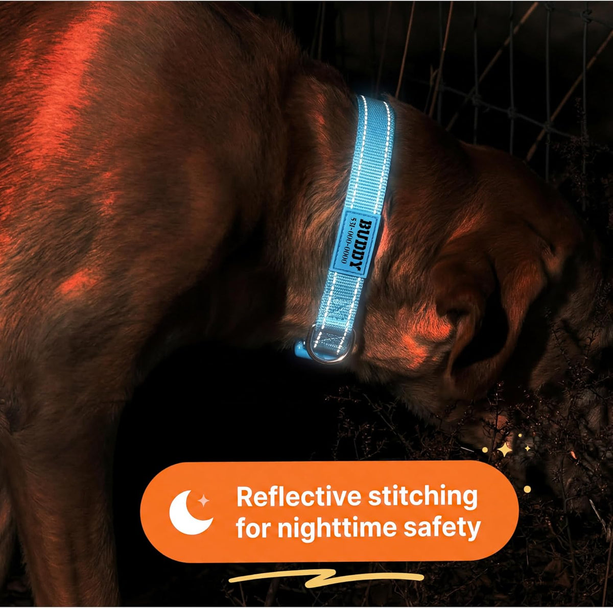 Personalized Dog Collars - Reflective Nylon Collar Customized with Name and Phone Number Adjustable Sizes for Small Dogs, Medium, Large 4 Colors Male Female boy Girl Puppies