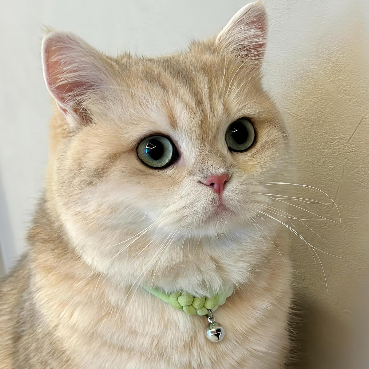Cat Collar with Bell, Cute Adjustable Cotton Kitten Collar, Soft Lightweight Slip On Collar for Indoor Cats, Handmade in California (Green Ombre)