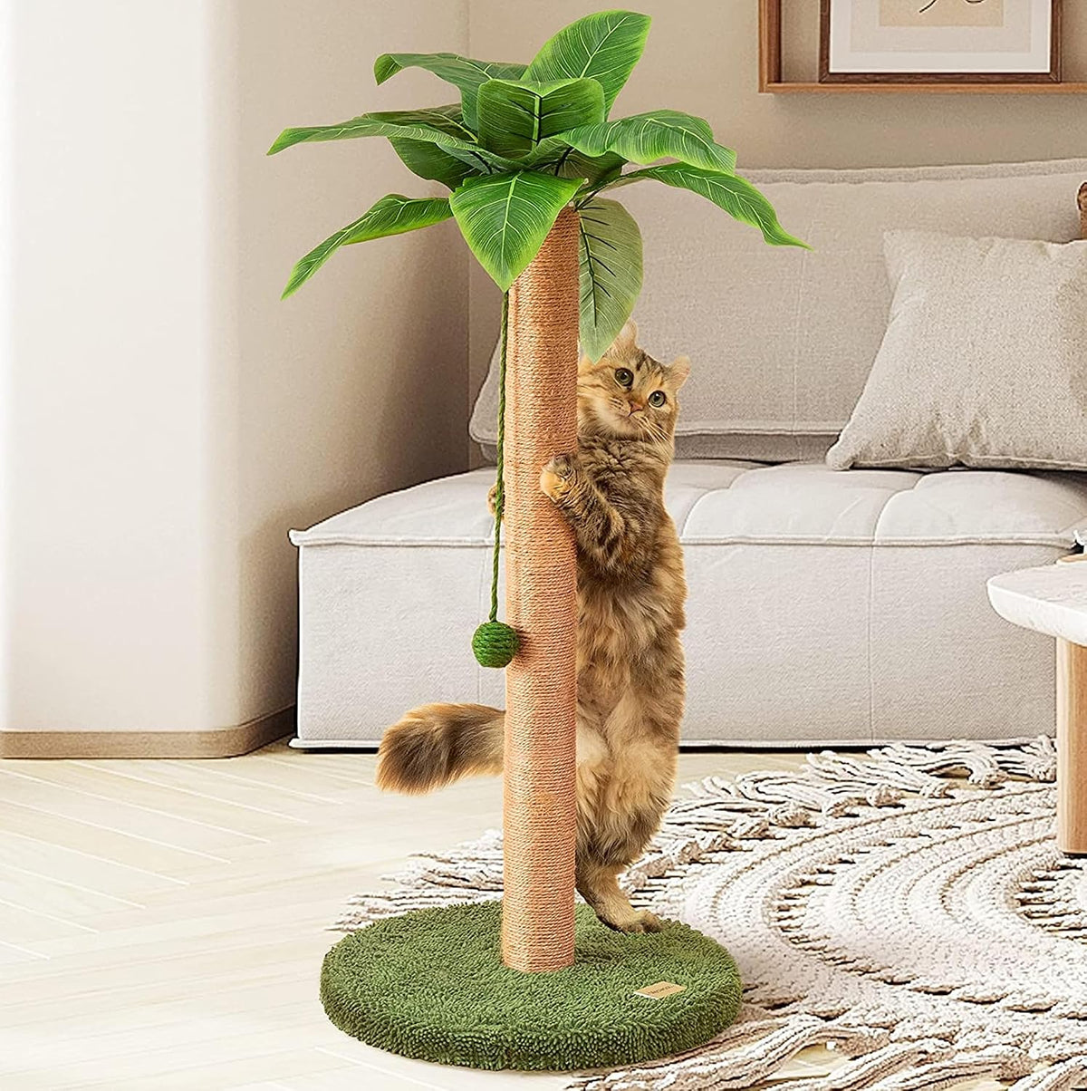 Meowoou Cat Scratching Post 33 Inch Tall Cat Scratcher for Indoor Cats Adults,Small Cat Tree Tower Sisal Rope Kitten Scratch with Interactive Hanging Ball