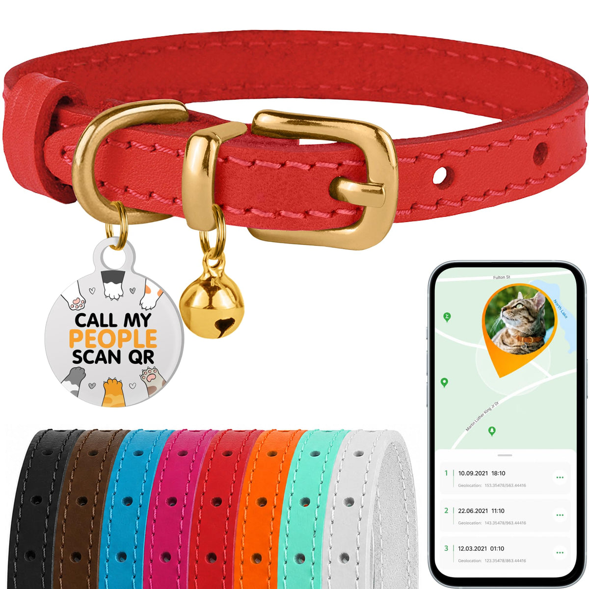 Leather Cat Collar, Removable Bells, QR Tag (9-12", Black & Gold)