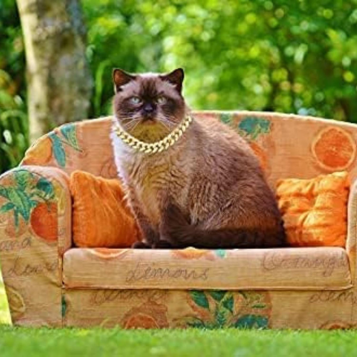 Halukakah Cat Collar - Carat - 18k Real Gold Plated 12", with Bell