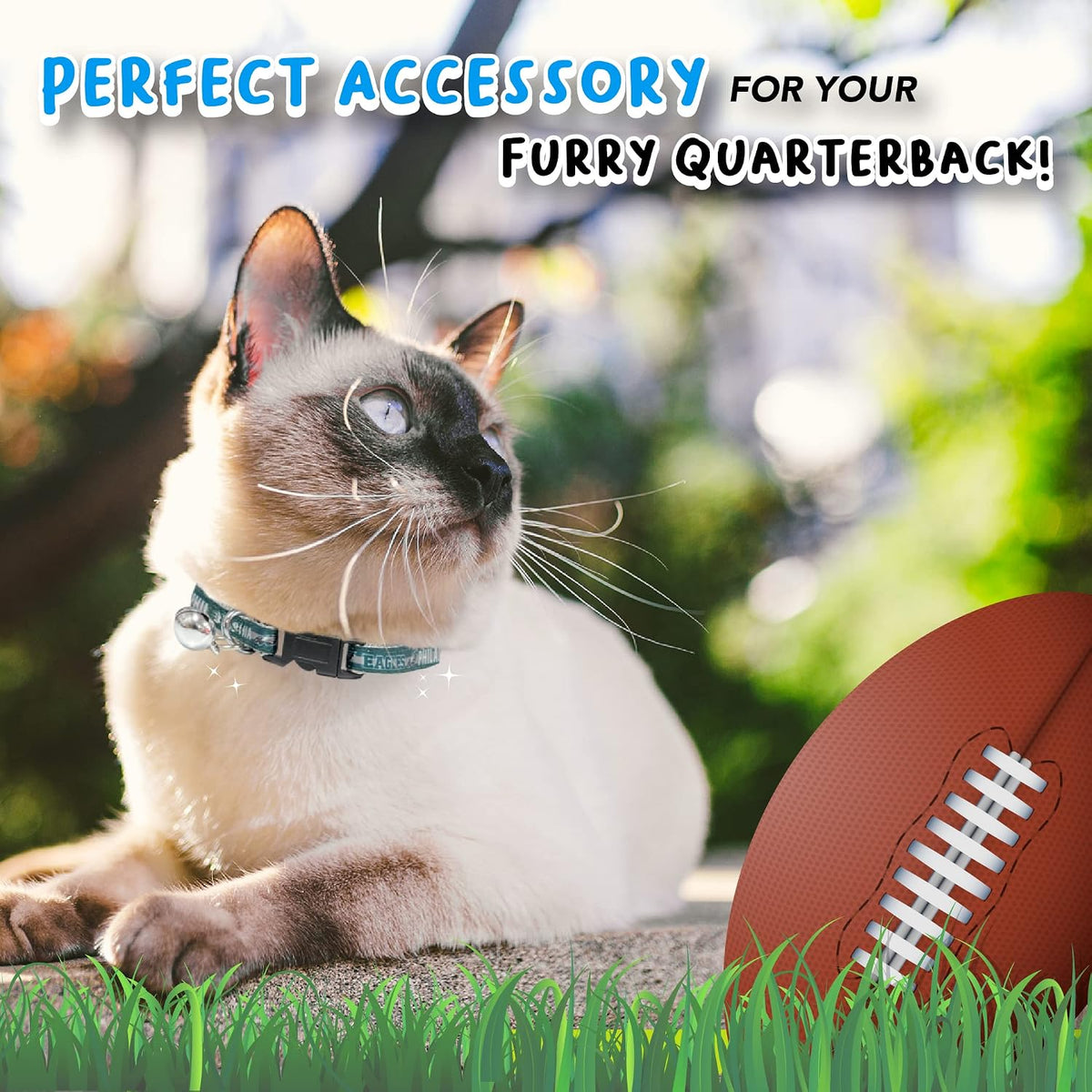 Pets First NFL Cat Collar