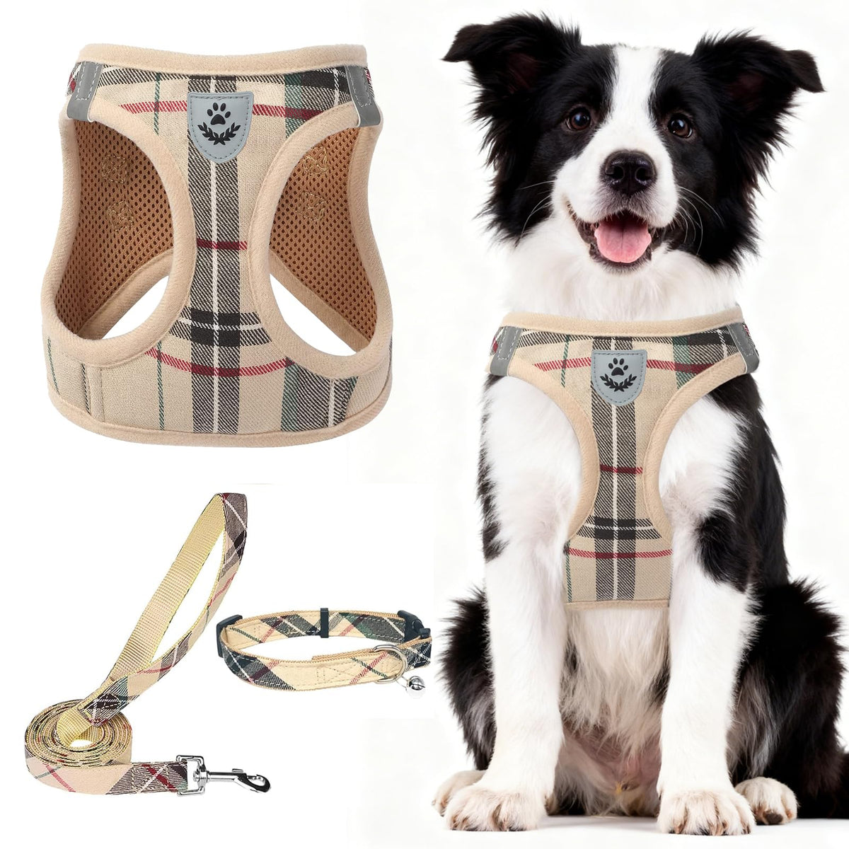 PUPTECK Adjustable Pet Harness Collar &Leash Set Step in for Small Dogs Puppy &Cats Outdoor Training &Running, Soft Mesh Padded Reflective Vest Harness,M: Chest girth: 16-18in Collar: 11.8-15.7in