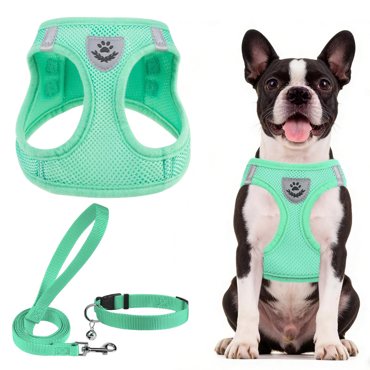 PUPTECK Adjustable Pet Harness Collar &Leash Set Step in for Small Dogs Puppy &Cats Outdoor Training &Running, Soft Mesh Padded Reflective Vest Harness,M: Chest girth: 16-18in Collar: 11.8-15.7in