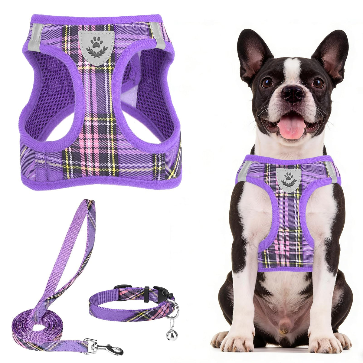 PUPTECK Adjustable Pet Harness Collar &Leash Set Step in for Small Dogs Puppy &Cats Outdoor Training &Running, Soft Mesh Padded Reflective Vest Harness,M: Chest girth: 16-18in Collar: 11.8-15.7in