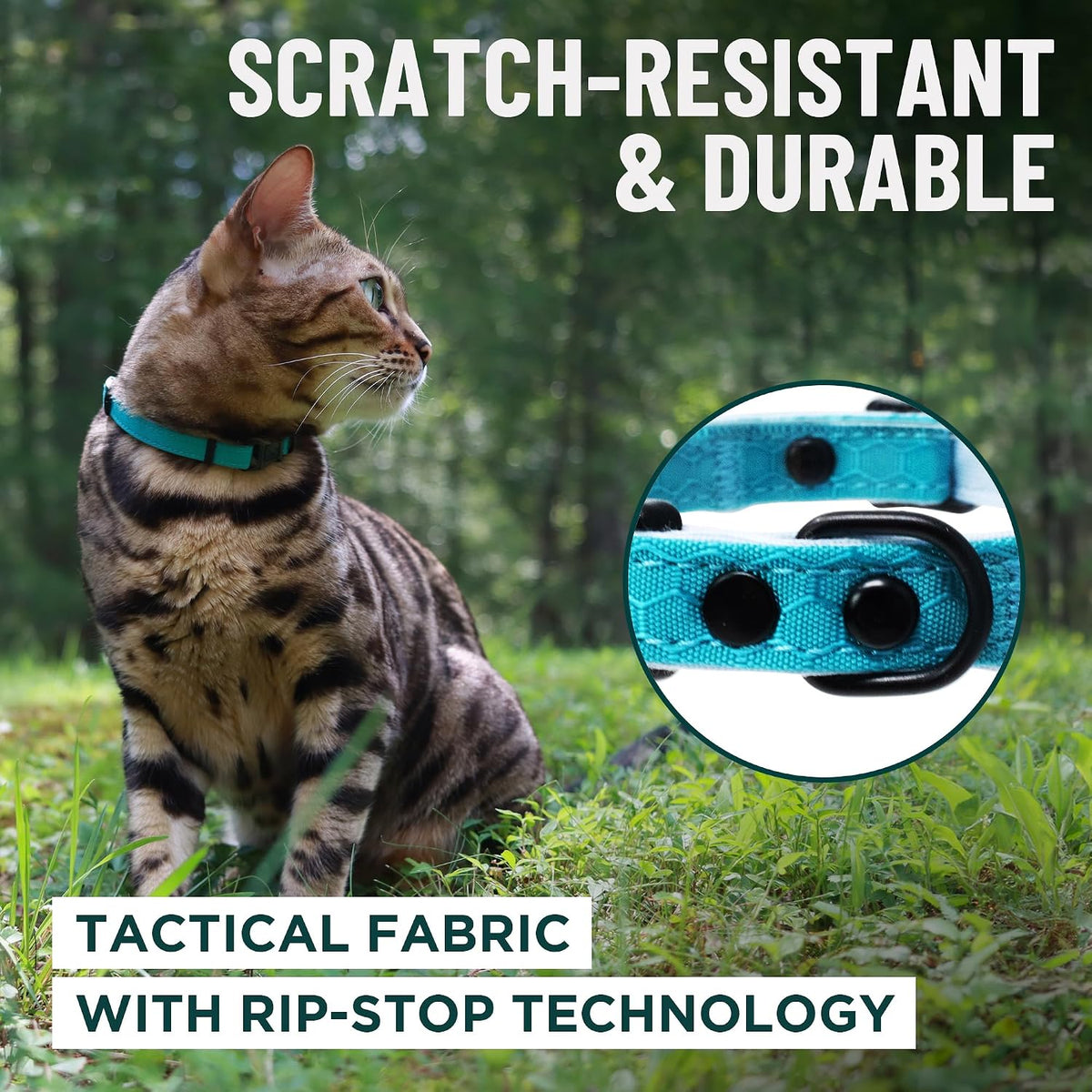 OutdoorBengal Durable Breakaway Cat Collar, No Bell (Black, M/L)
