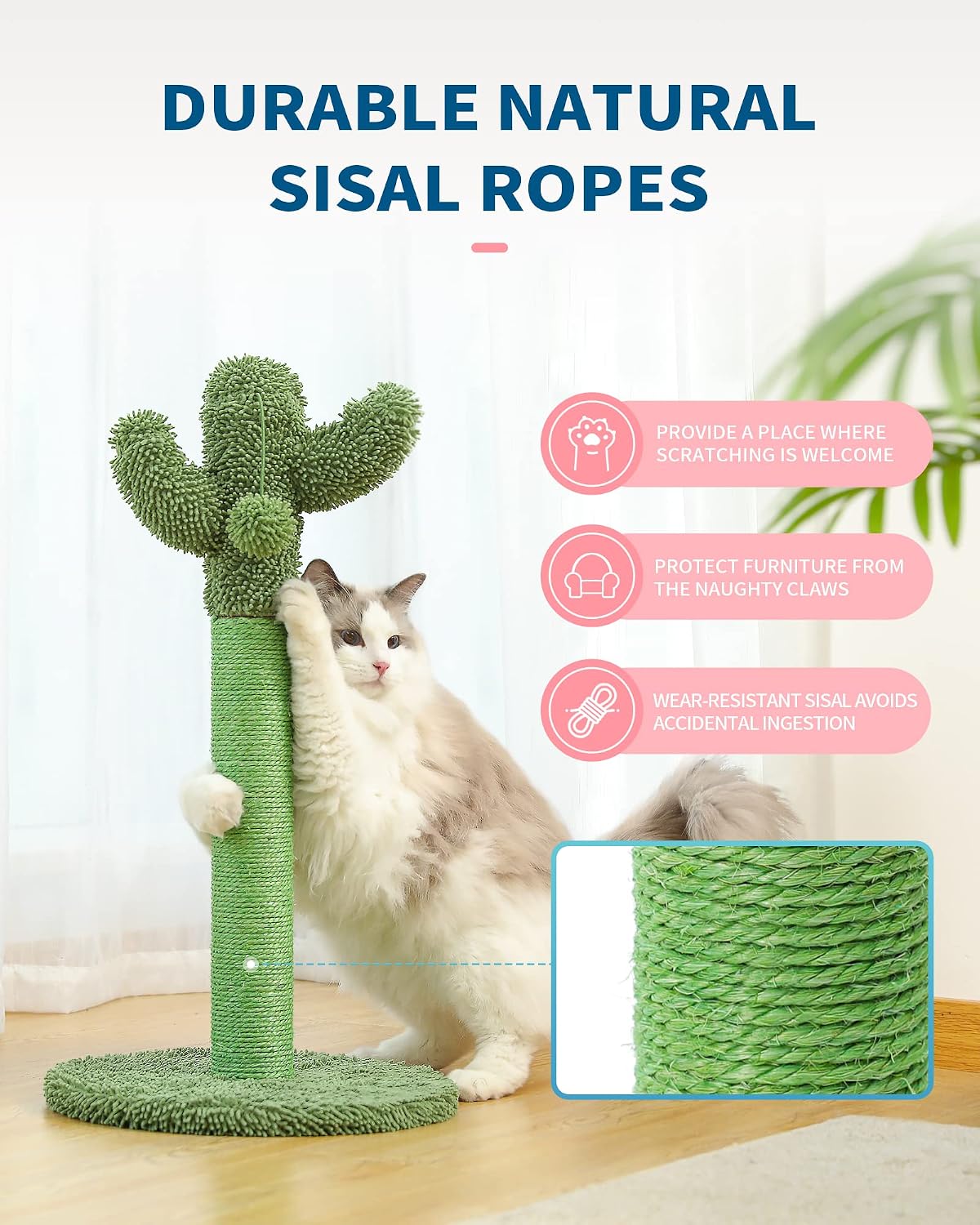 Made4Pets Cactus Cat Scratching Post for Indoor Cats with Plush Ball, 25.6"