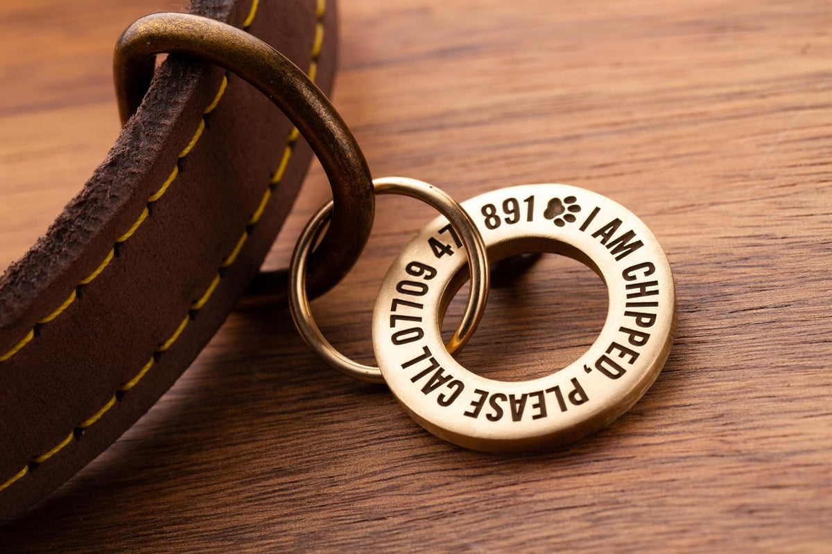 Solid Brass or Stainless Steel, Deep Engraved & Polished Dog/Pet ID Tag
