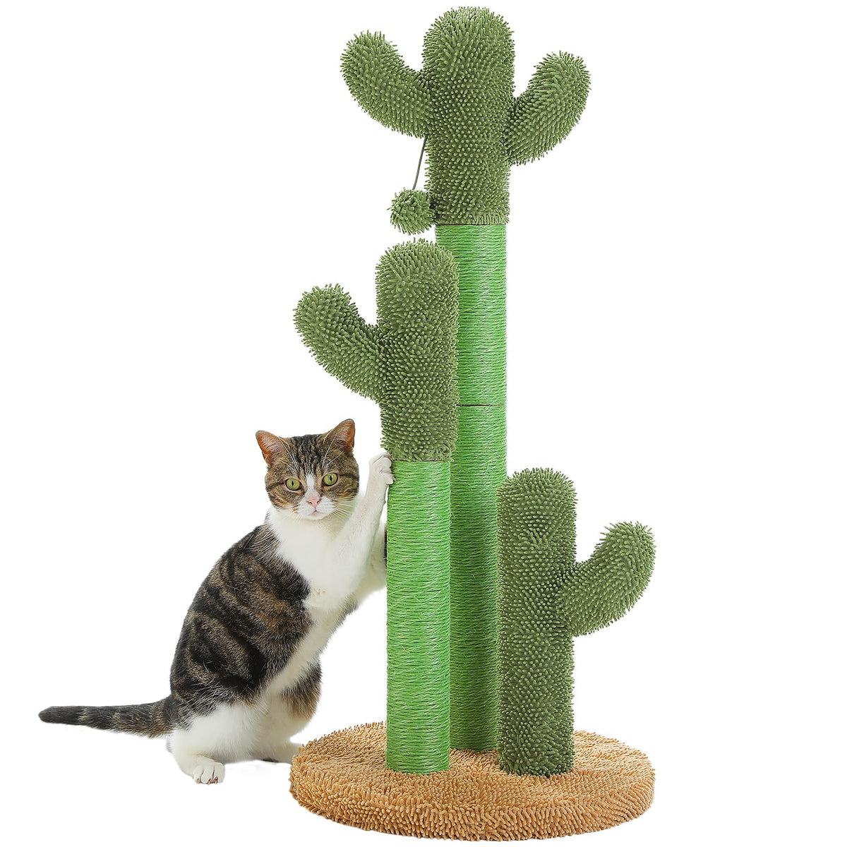 PAWZ Road Cactus Cat Scratching Post 27”Cat Scratcher with Toy Ball