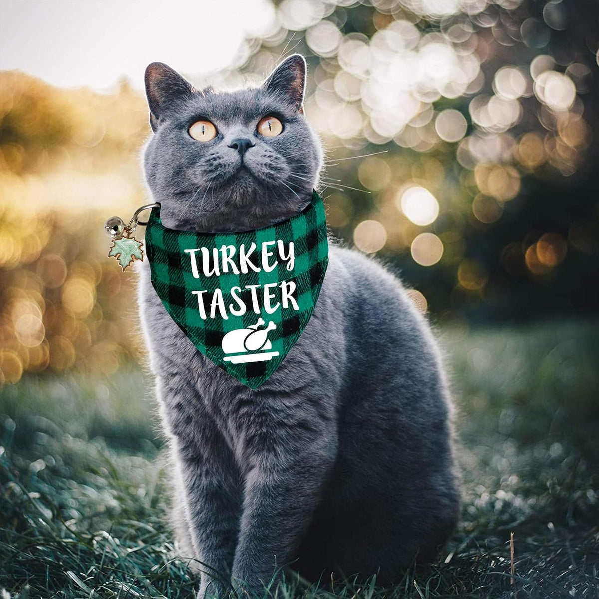 STMK 3 Pack Holiday Cat Bandana Collars with Bell, Breakaway Halloween Thanksgiving Christmas Cat Kitten Collars with Bell Remove Bandana Pumpkin Maple Leaf Santa for Holiday Cats Kittens Costumes