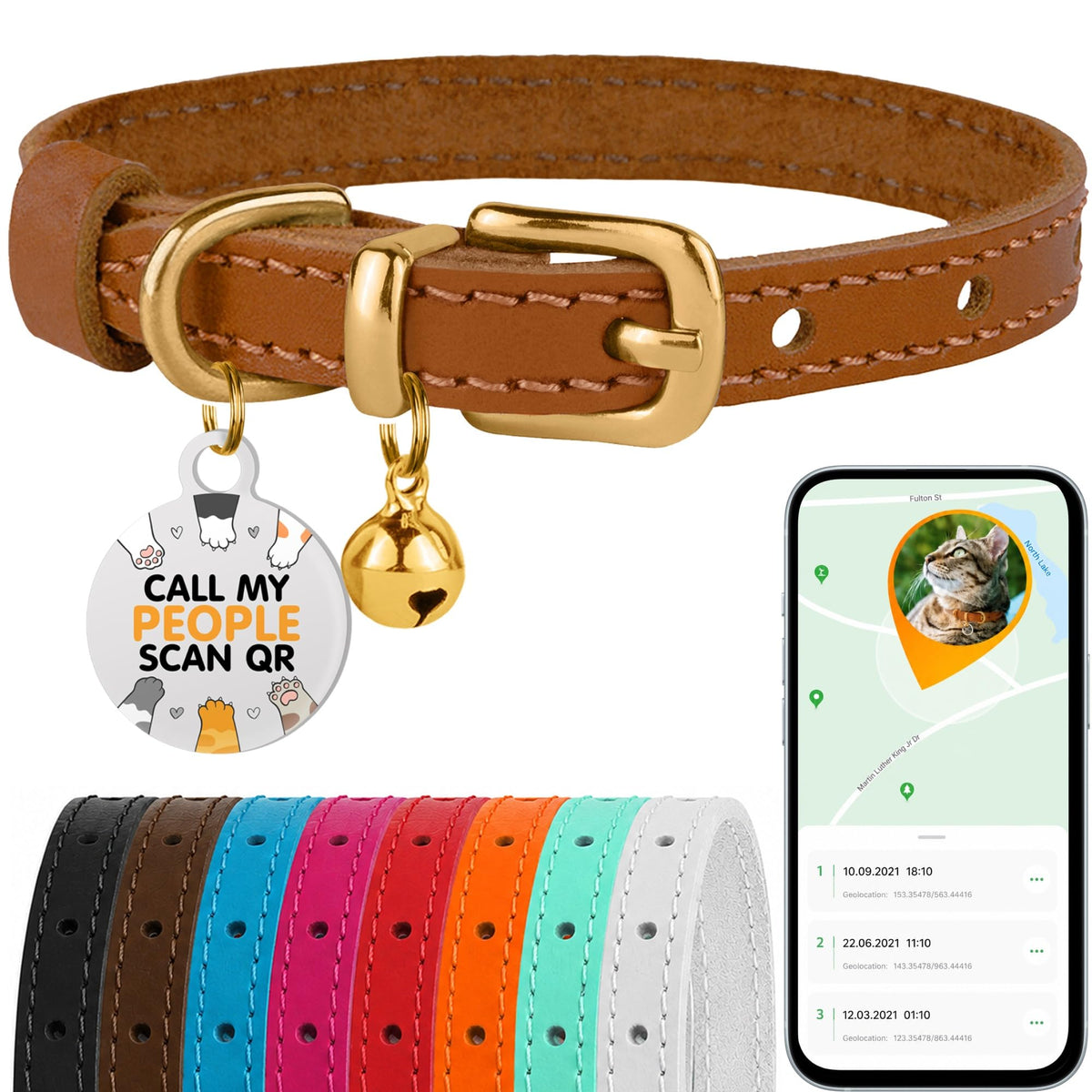 Leather Cat Collar, Removable Bells, QR Tag (9-12", Black & Gold)