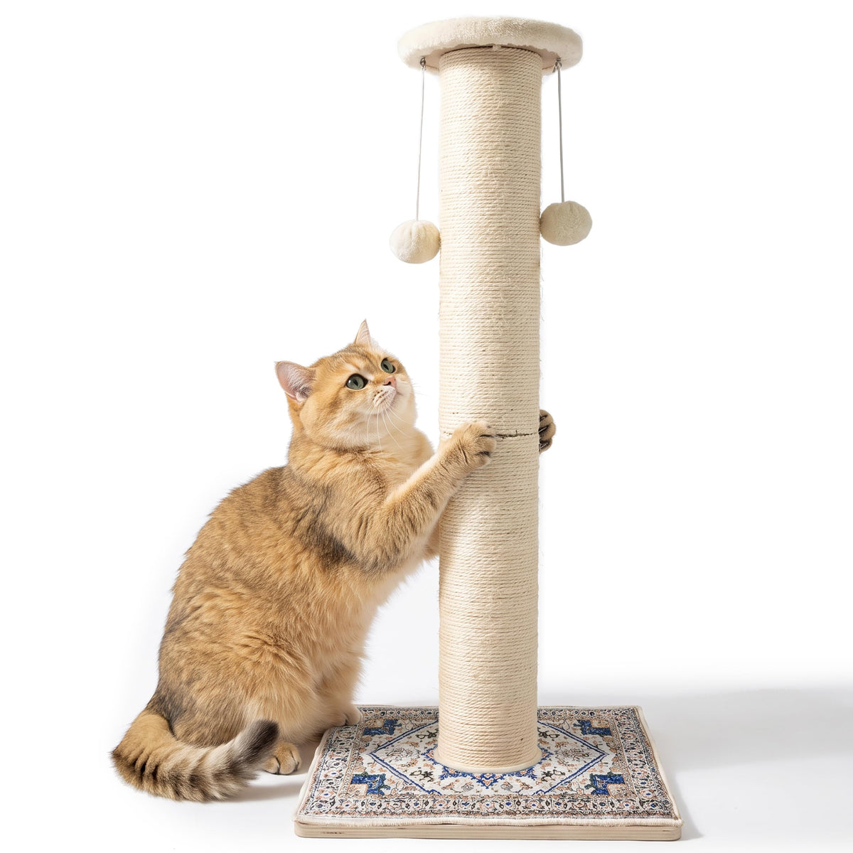 Tall Cat Scratching Post for Indoor Cats Adults with Carpet, White