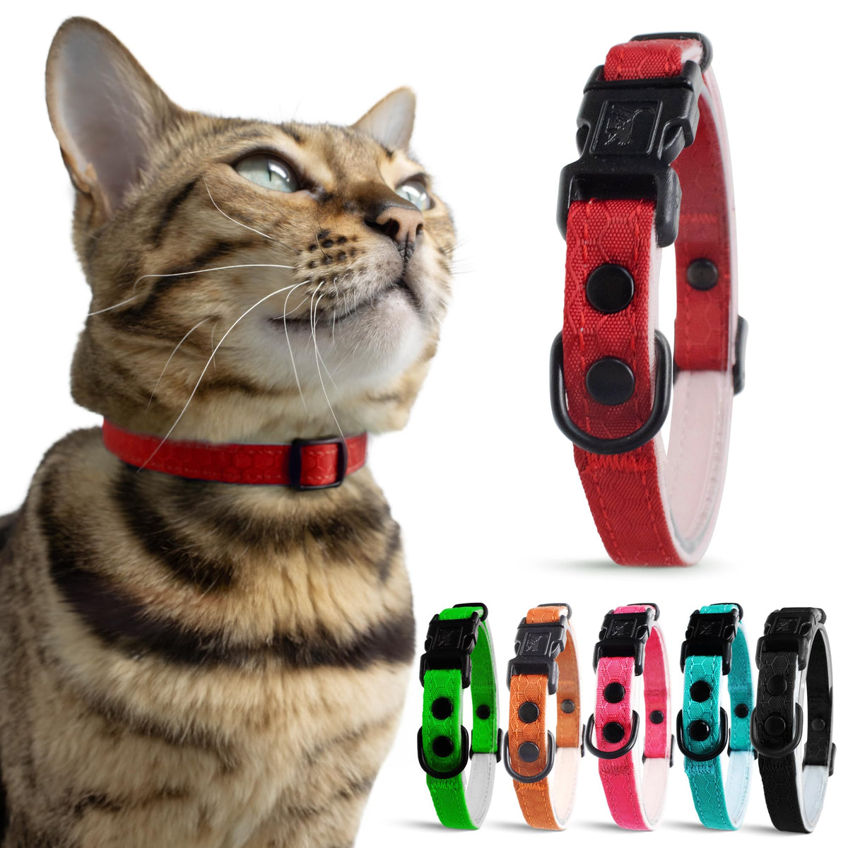 OutdoorBengal Durable Breakaway Cat Collar, No Bell (Black, M/L)