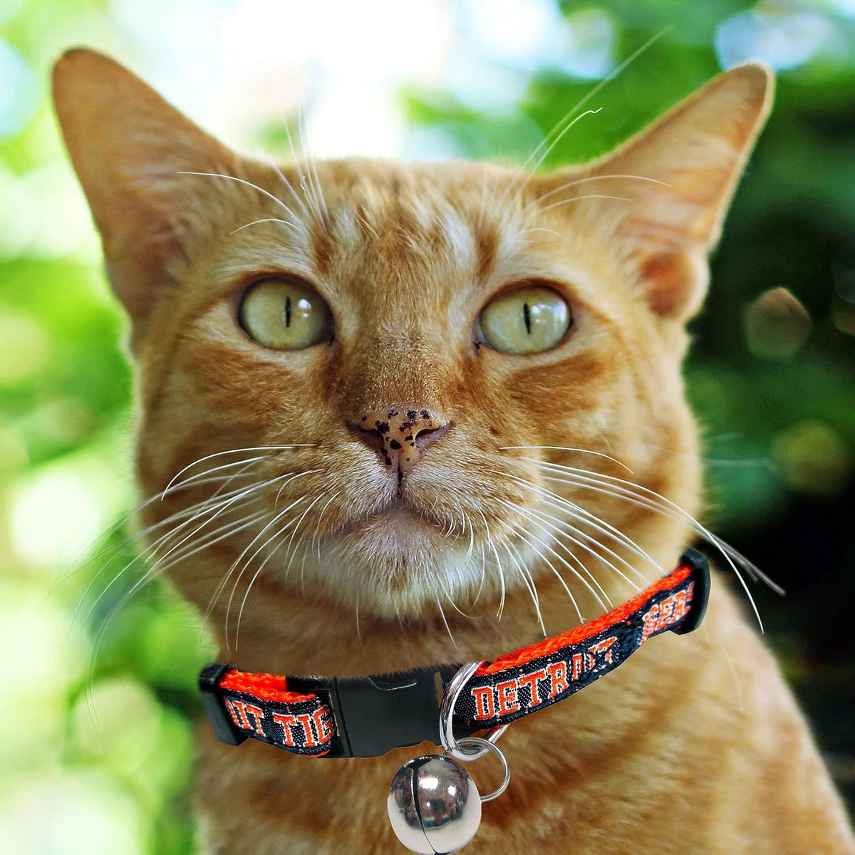 MLB CAT COLLAR. - DETROIT TIGERS CAT COLLAR. - Strong & Adjustable BASEBALL Cat Collars with Metal Jingle Bell