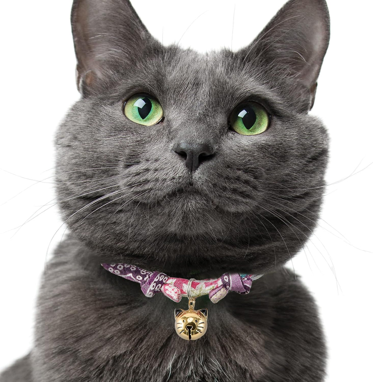 Necoichi Chirimen Hanabi Fireworks Cat Collar, Breakaway with Bell (Purple)