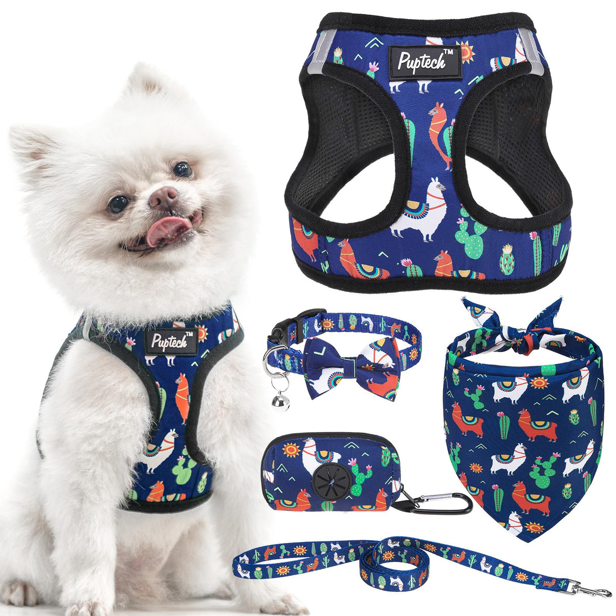 PUPTECK Adjustable Pet Harness Collar &Leash Set Step in for Small Dogs Puppy &Cats Outdoor Training &Running, Soft Mesh Padded Reflective Vest Harness,M: Chest girth: 16-18in Collar: 11.8-15.7in