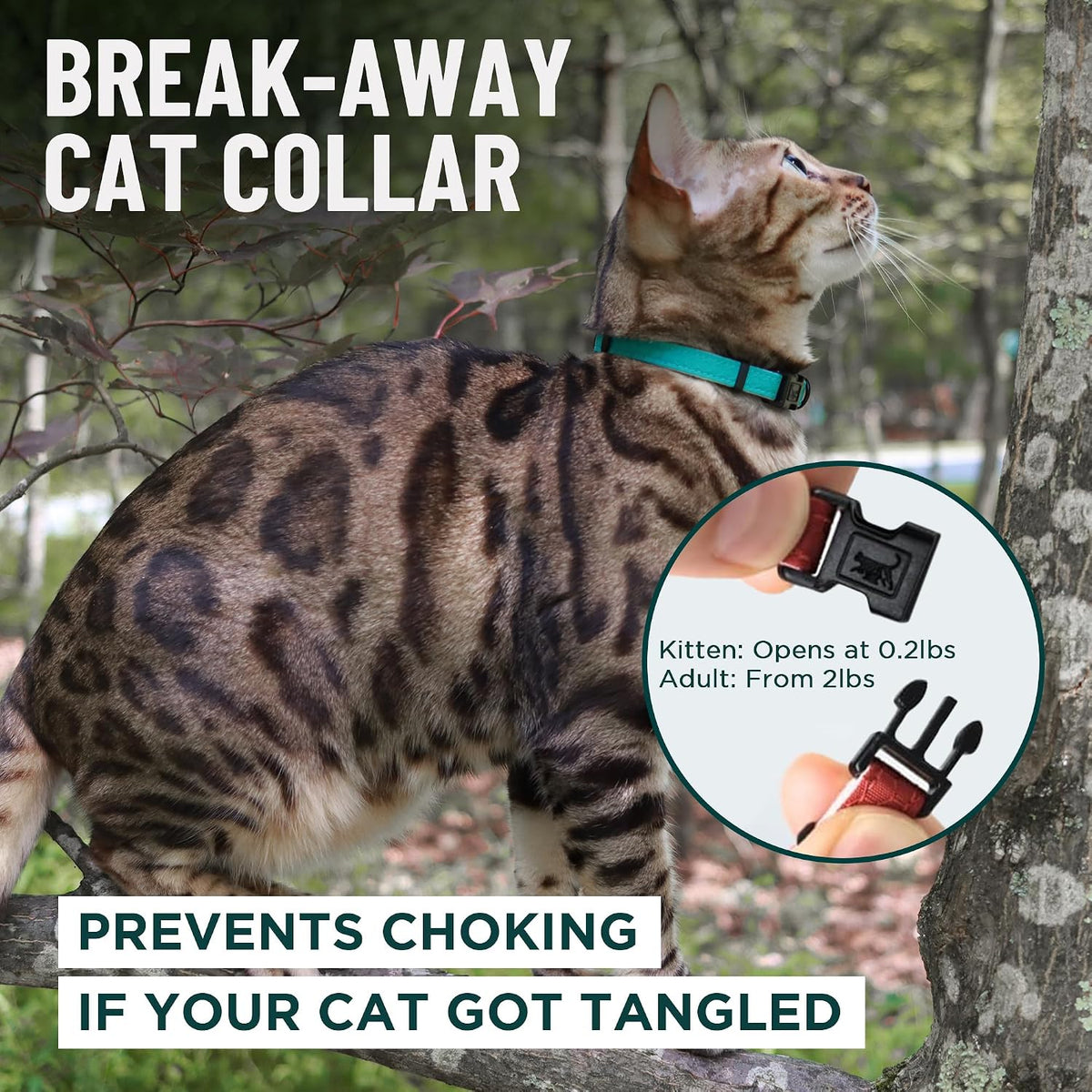 OutdoorBengal Durable Breakaway Cat Collar, No Bell (Black, M/L)