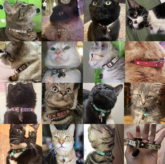 Coffee Cat Collar with Bell | Safety Breakaway Collar | Adjustable Large Size or Kitten (Small(10lbs & Less), Pink)