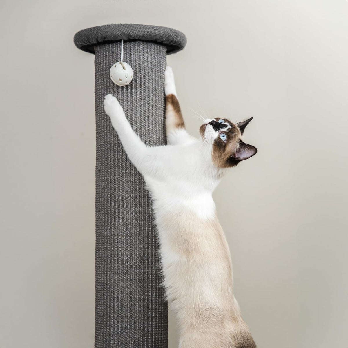 Kitty City Tall Sisal Cat Scratching Post, 32” Durable Scratcher with Sturdy Base & Hanging Jingle Toy, Easy Assembly, Furniture Protection for Indoor Cats - Gray