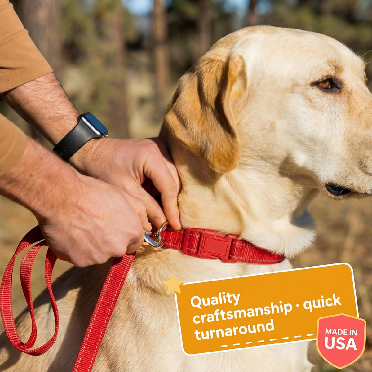 Personalized Dog Collars - Reflective Nylon Collar Customized with Name and Phone Number Adjustable Sizes for Small Dogs, Medium, Large 4 Colors Male Female boy Girl Puppies