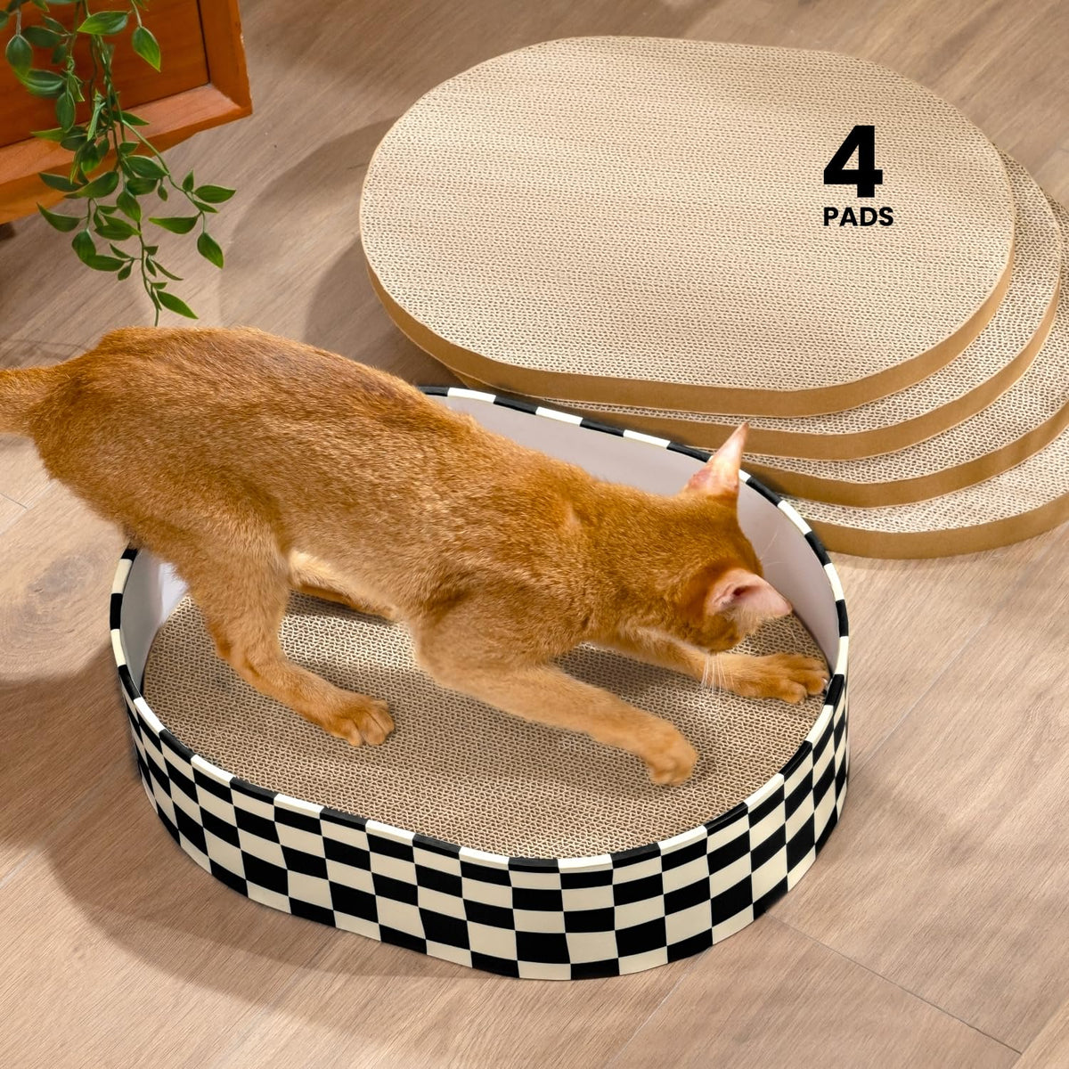 Conlun Oval Cat Scratcher Bed | Scratching Bowl Lounge for Kittens | Medium