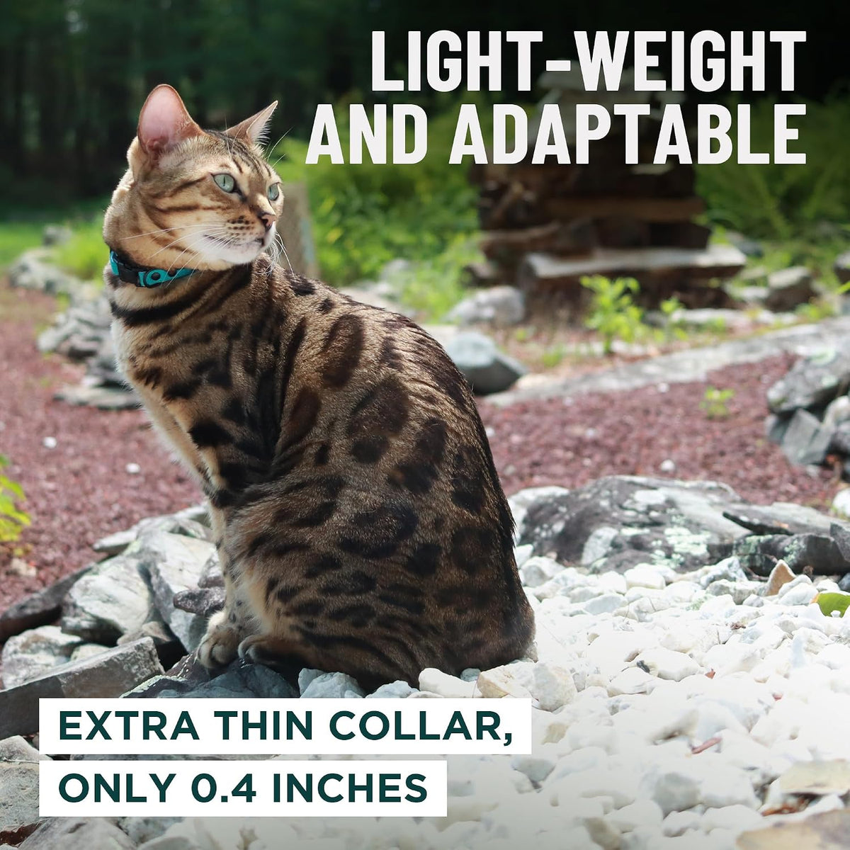 OutdoorBengal Durable Breakaway Cat Collar, No Bell (Black, M/L)