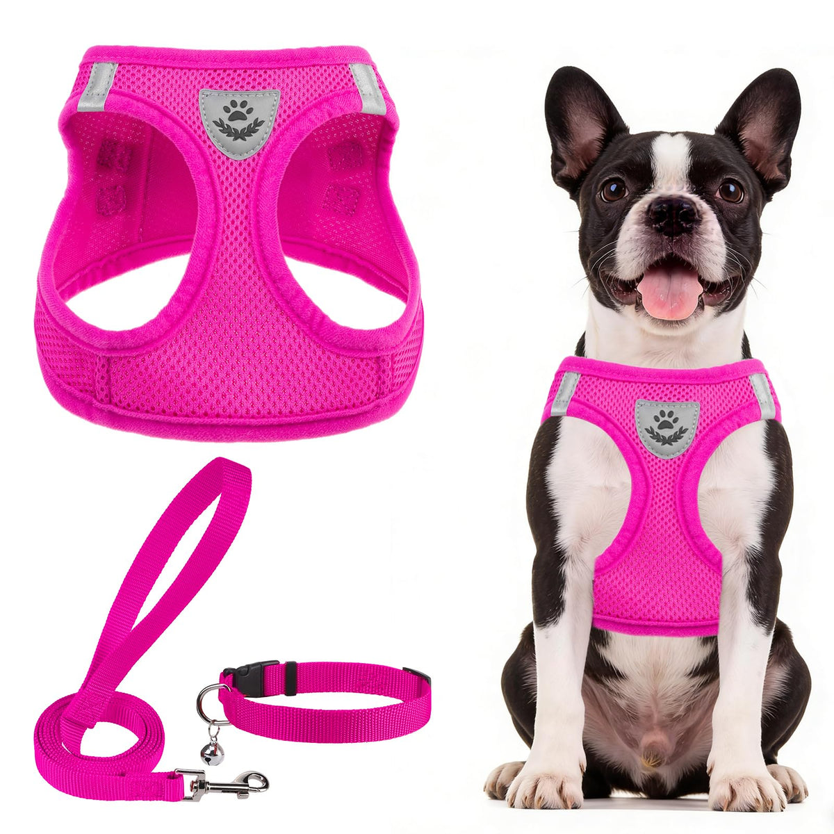 PUPTECK Adjustable Pet Harness Collar &Leash Set Step in for Small Dogs Puppy &Cats Outdoor Training &Running, Soft Mesh Padded Reflective Vest Harness,M: Chest girth: 16-18in Collar: 11.8-15.7in
