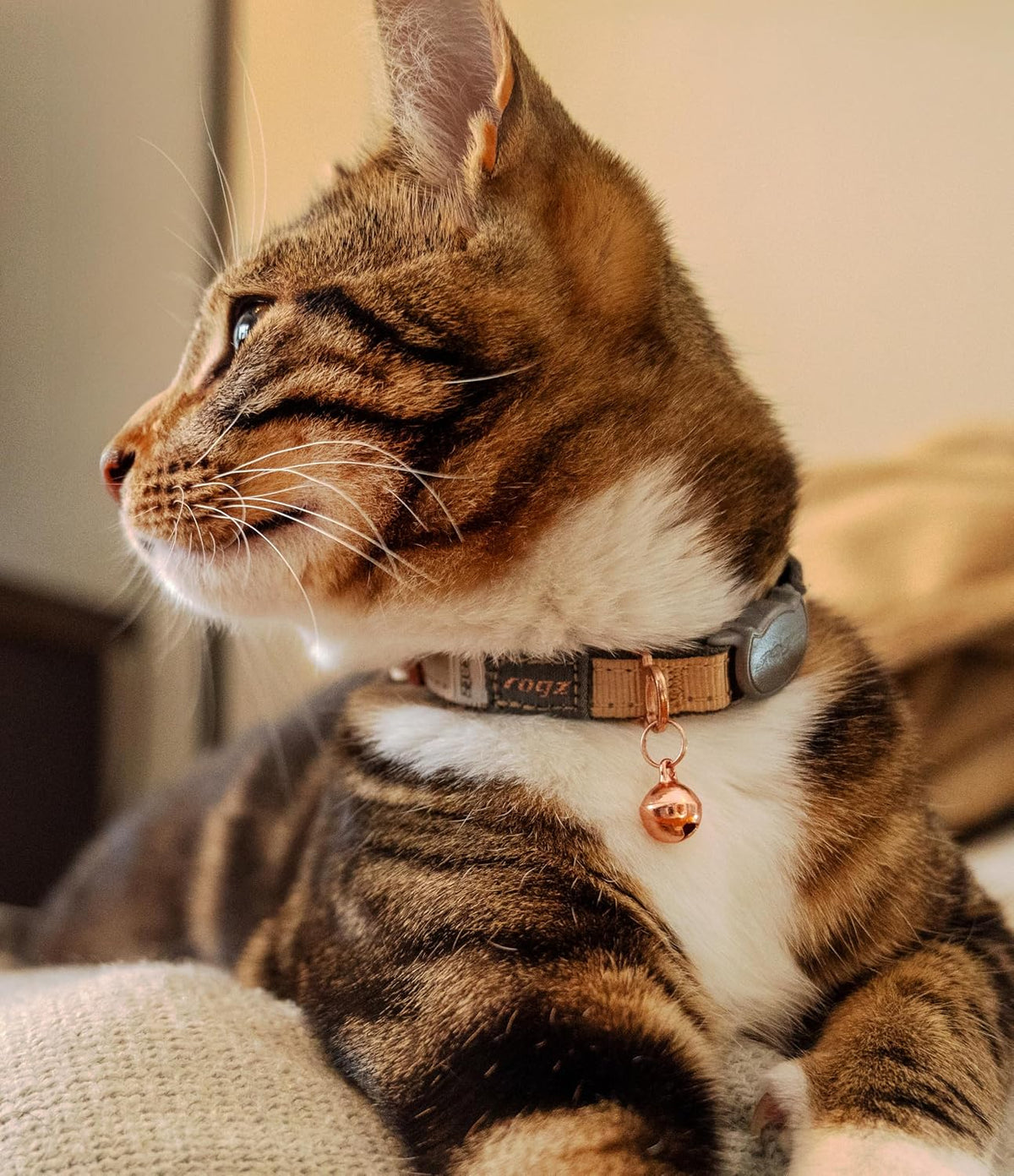 Rogz Urban Cat Safety Collar Small/Medium - Pink Blush
