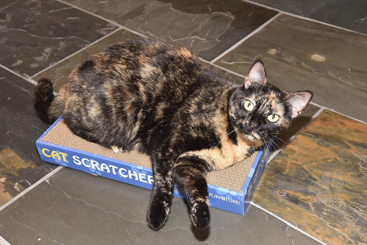 Flat Cat Scratcher Lounger with Two Reversible Double Wide Corrugated Cardboard Surfaces